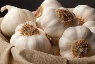 فوائد ومخاطر صحية للثوم في آنٍ واحد